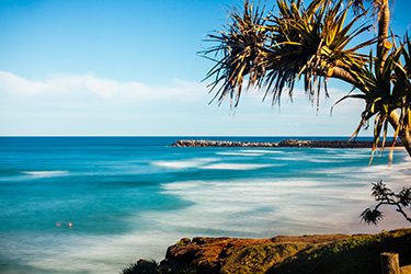Lighthouse beach and north wall with pandanus tree