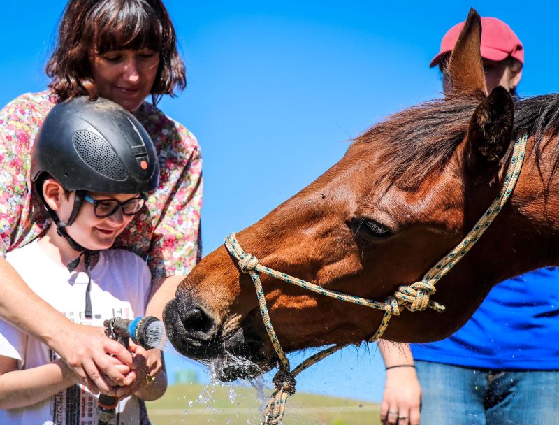 Accessible Attractions RDA Ballina Pip 2020