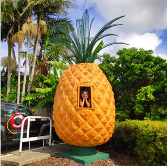 Big Pineapple