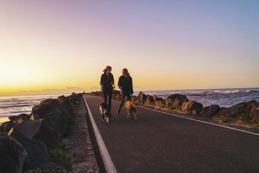 Ladies walking dogs along North Wall