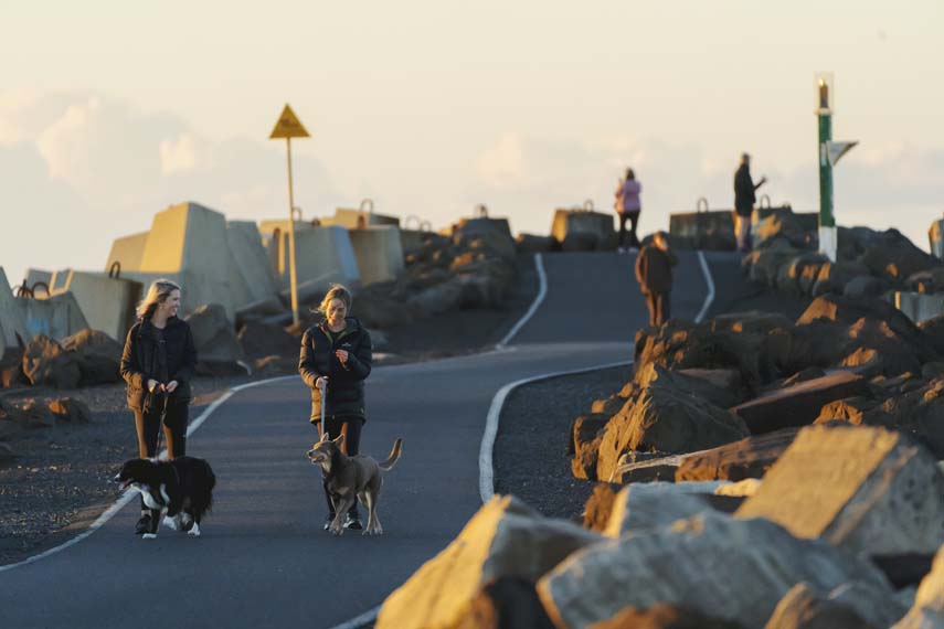 Ladies Walking dogs along North Wall