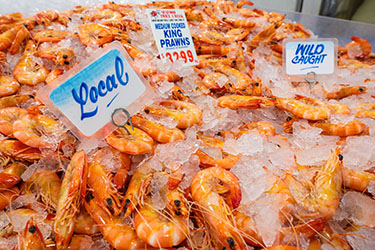 Local prawns in ice