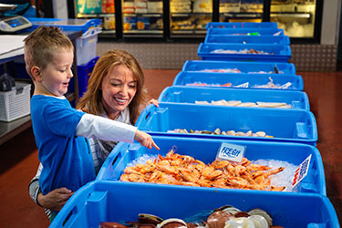 Mum and son looking at fresh prawns