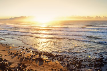 panorama shelly beach 375 x 250