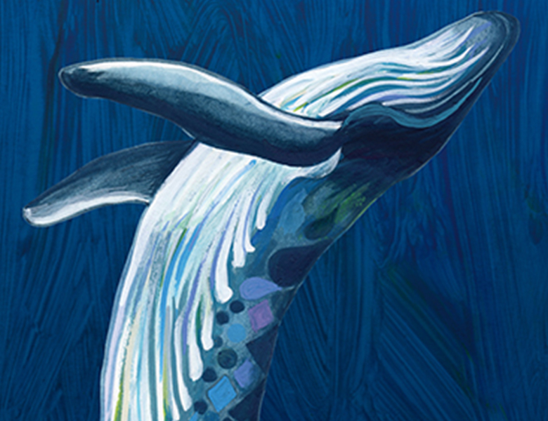 Lennox Head Banners