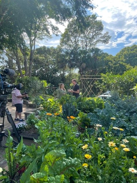 Sydney Weekender in Ballina Hinterland