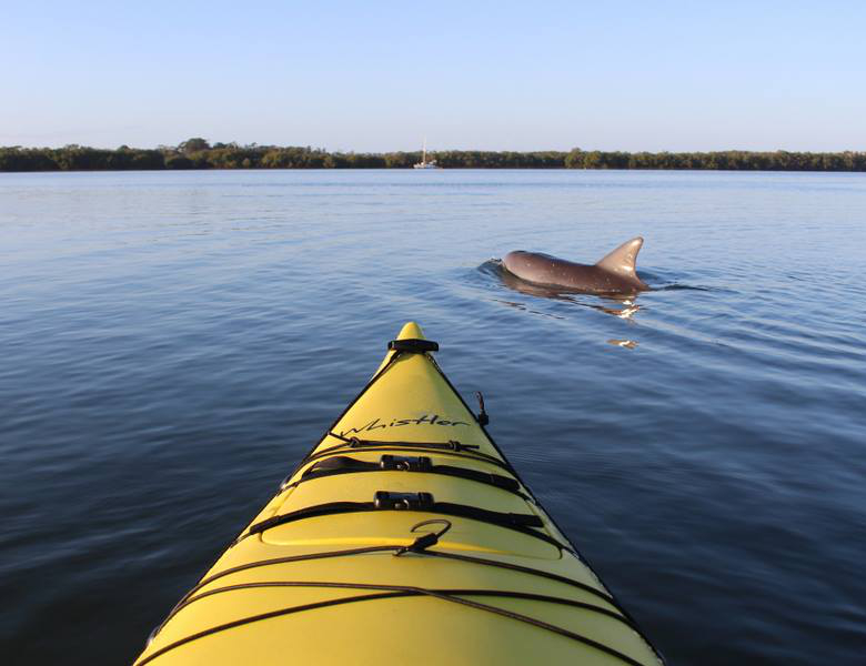 Kayaking on the Richmond River Photo credit: Ballina Kayaks