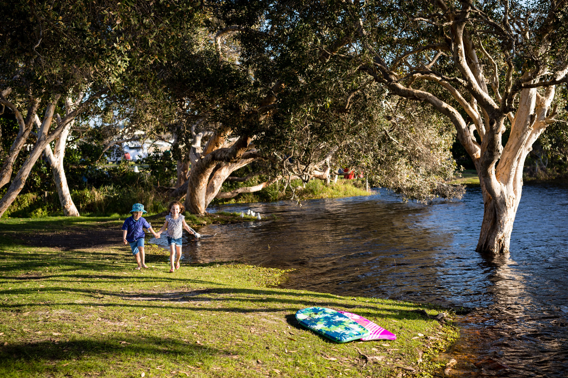 Lake Ainsworth Lennox Head Tea Tree Lake