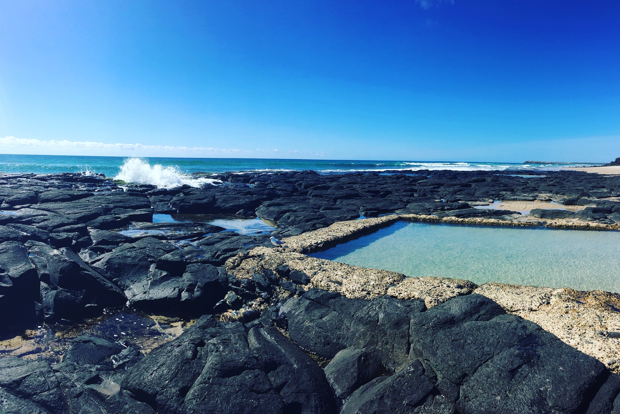Shelly Rockpools