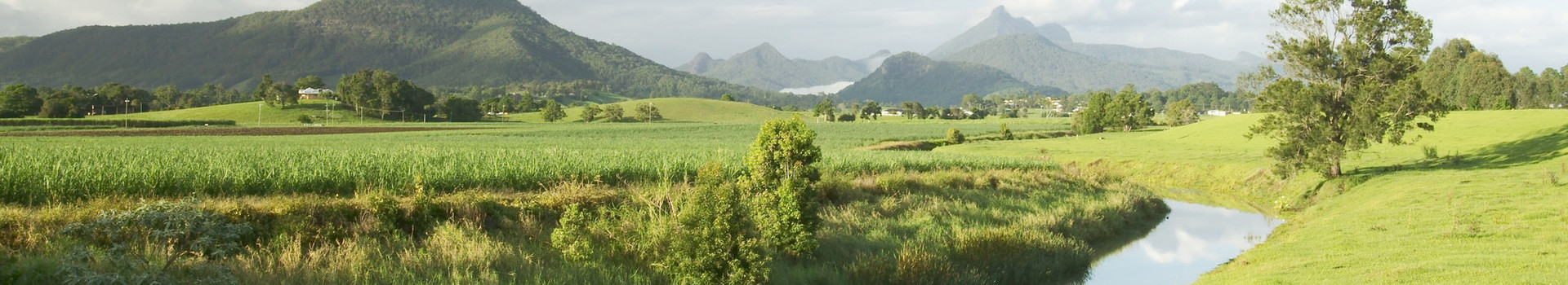 Murwillumbah District