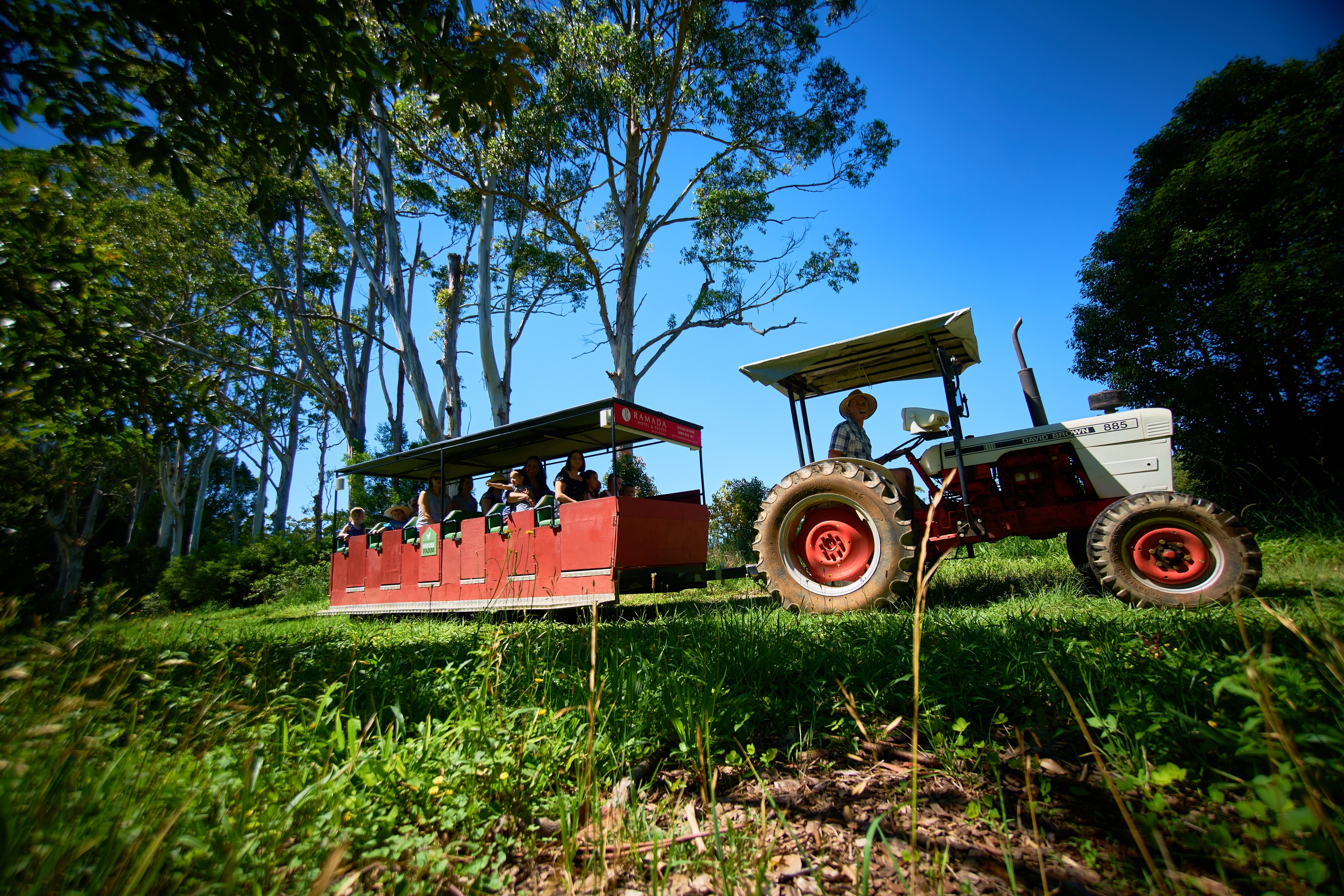 Summerland Farm Alstonville Tractor Tour