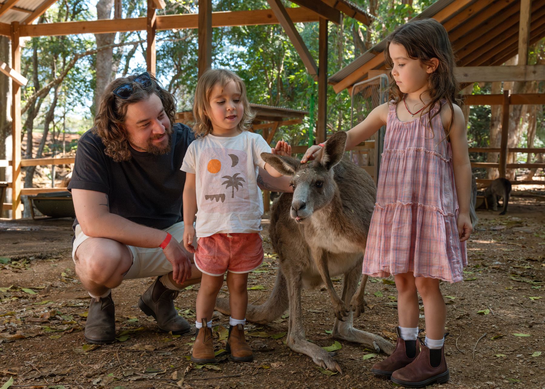 BYRON-BAY-WILDLIFE-SANCTUARY-KANGAROO