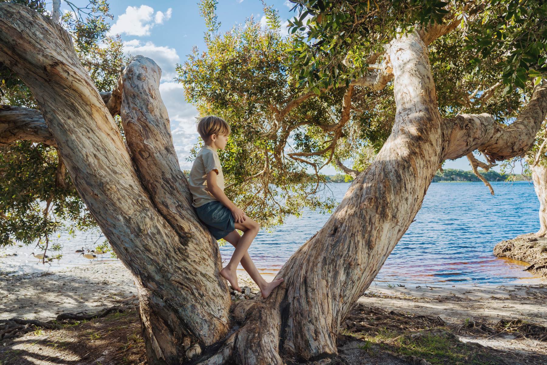 lake-ainsworth-lennox-head