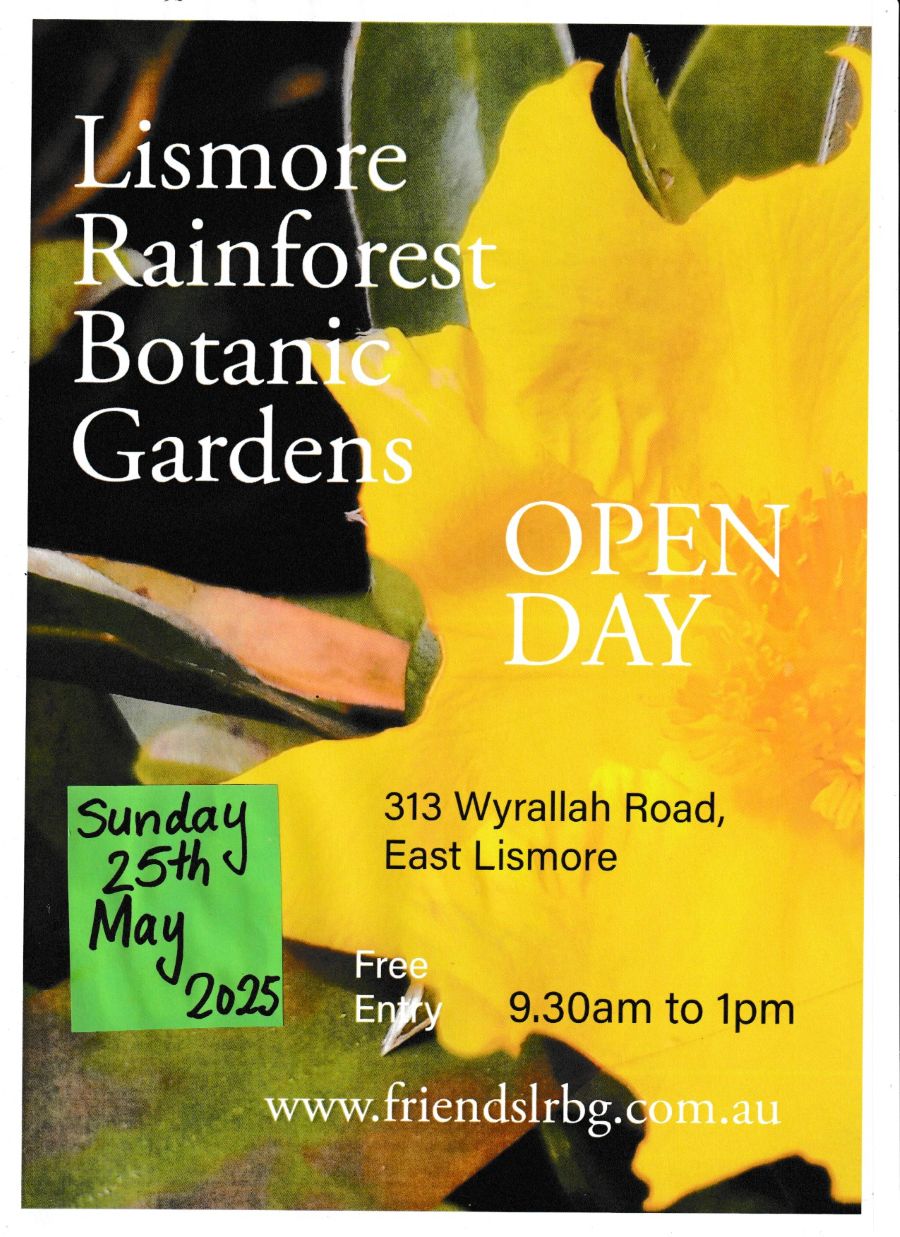 2025 Open Day flyer A4