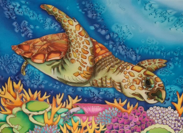7. July Kim Toft Juvenile Turtle Travels