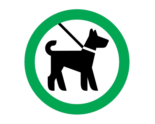 Dogs on lead allowed