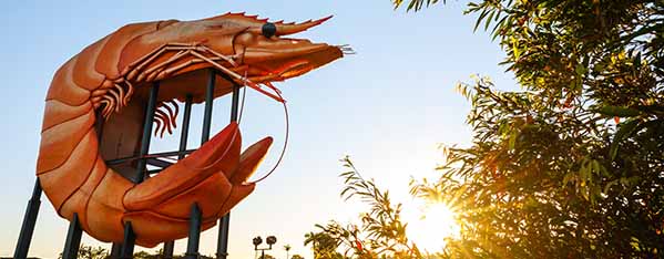 Big Prawn Ballina