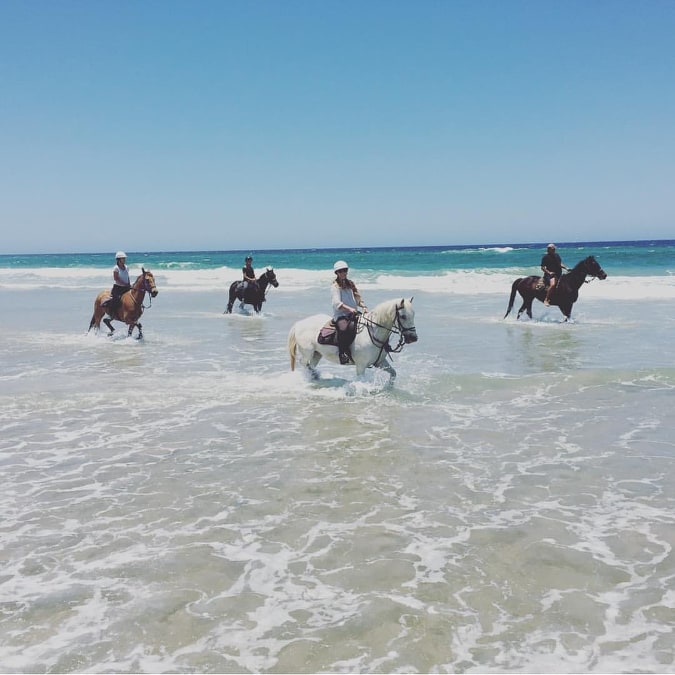 Pegasus Park Seven Mile Beach Horse Riding