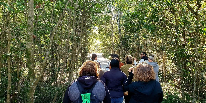 Yidabal Galii Maa Coastal Walk tour Aboriginal Cultural Experience