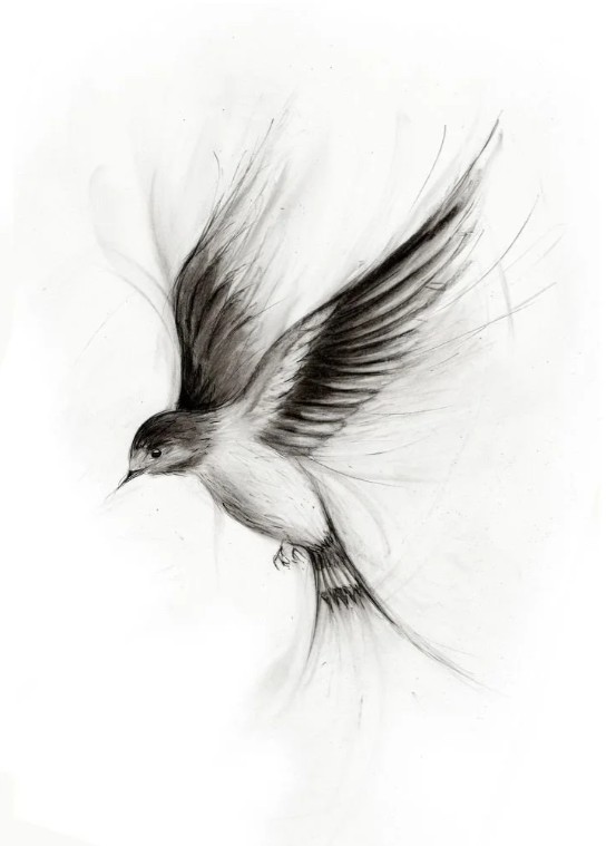 CHARCOAL SKETCH