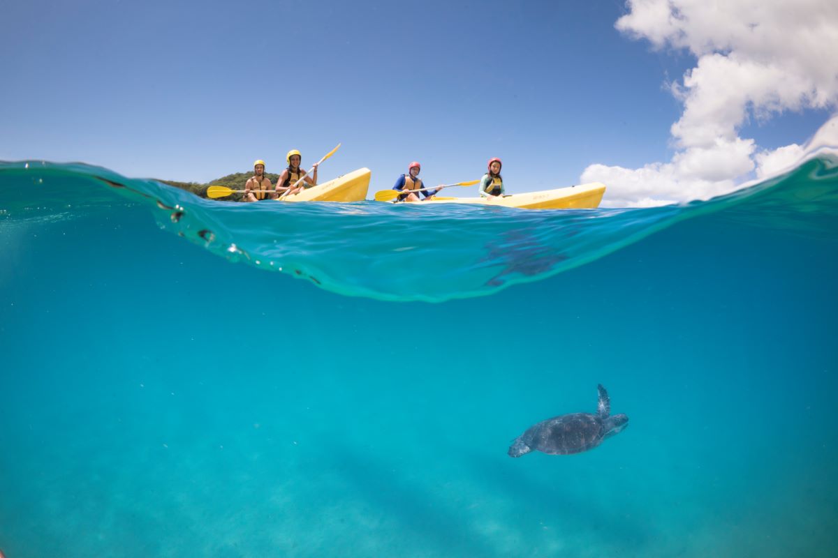 Cape Byron Kayaks Image