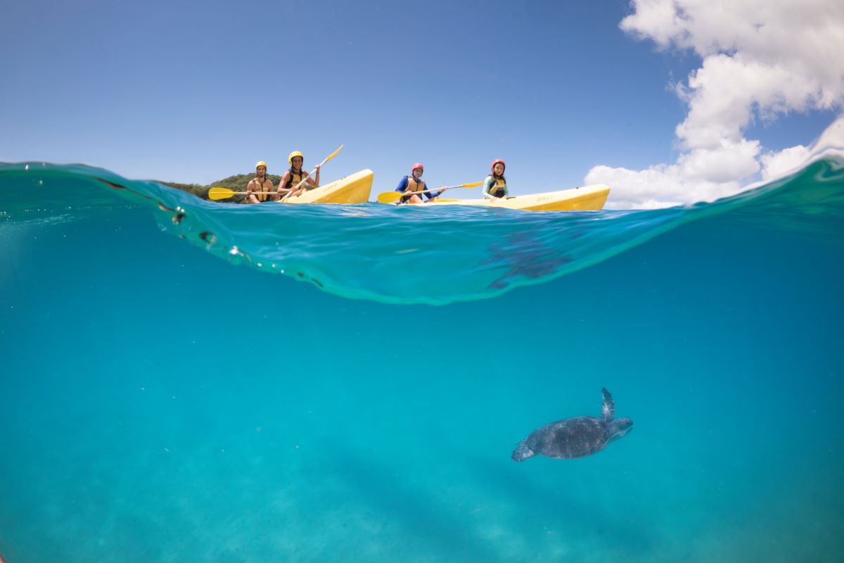 Cape Byron Kayaks Image