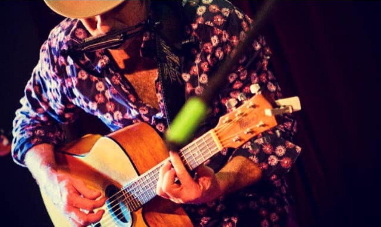 David Flower Folk Blues