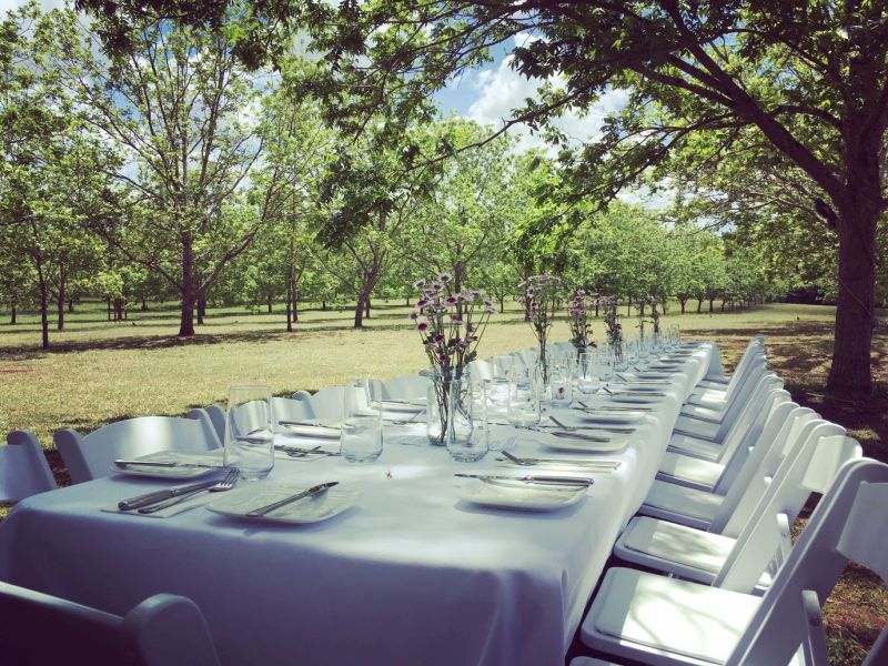 Dining in Pecan orchard resized