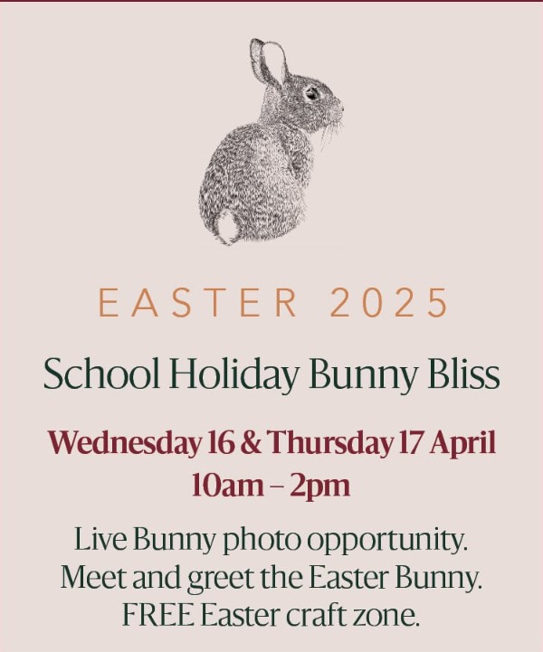 Easter Bunny Ballina Homemaker Centre