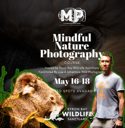 Mindful nature photography