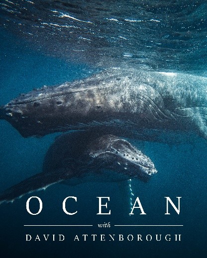 Ocean