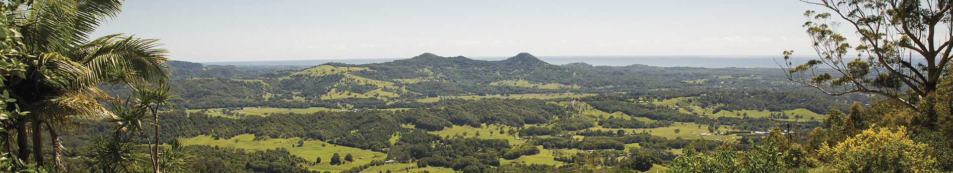 Mullumbimby Hinterland