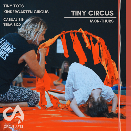 Tiny Circus Poster Square