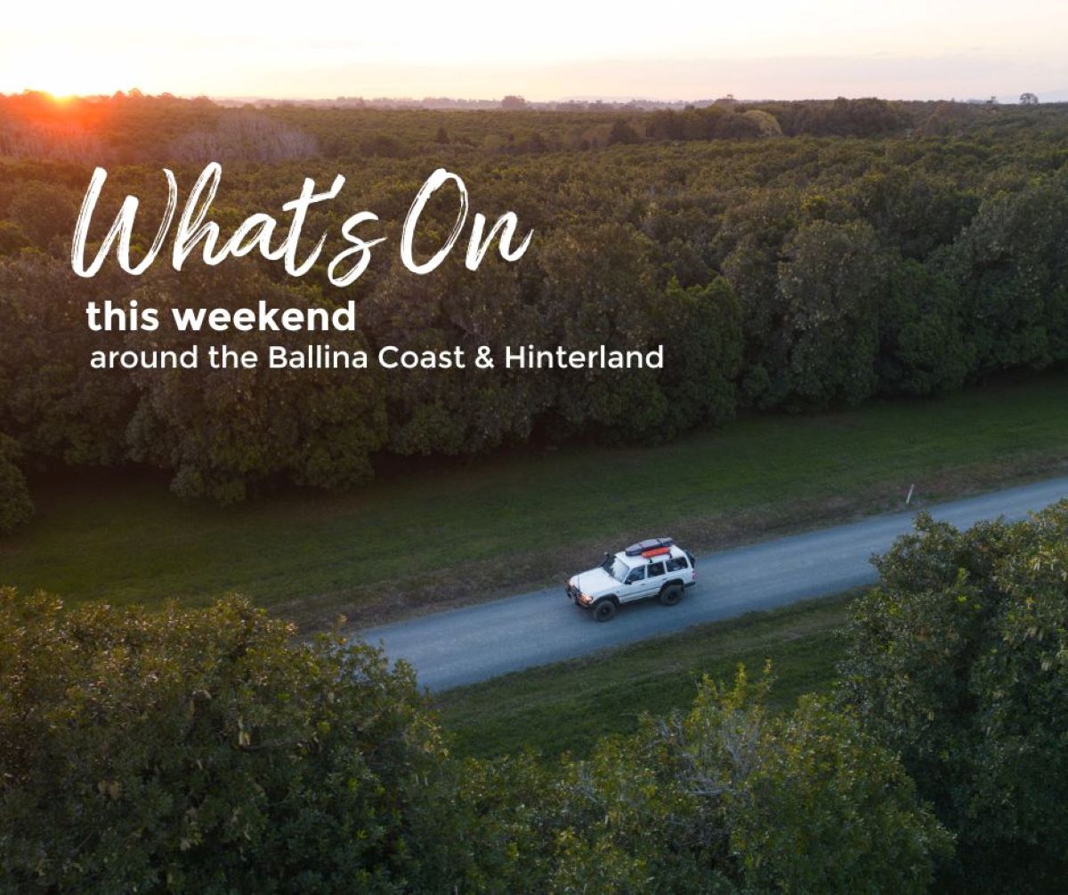 Whats On This Weekend around Ballina Coast Hinterland