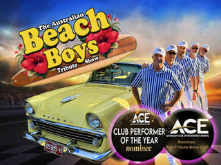 beach boys 22