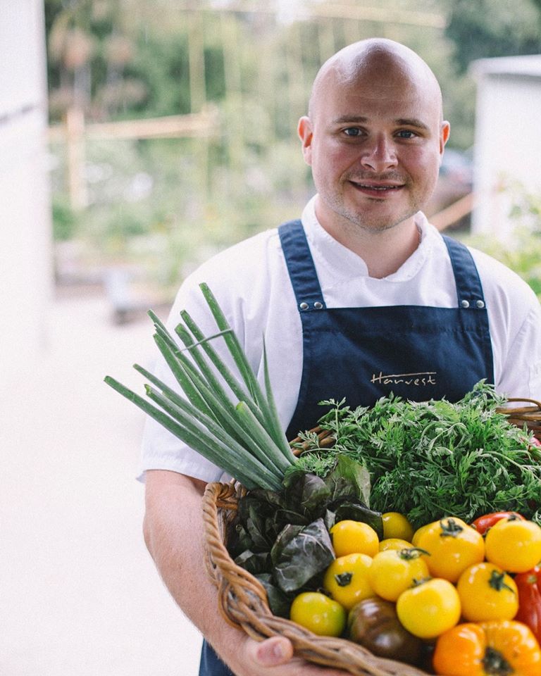 seasonal vege boxes from Harvest Deli