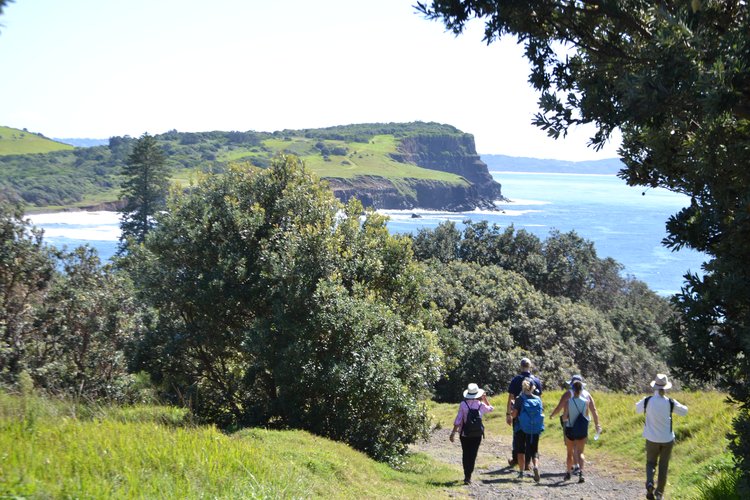 coastal walk pic