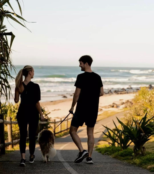 dog walking shelly beach