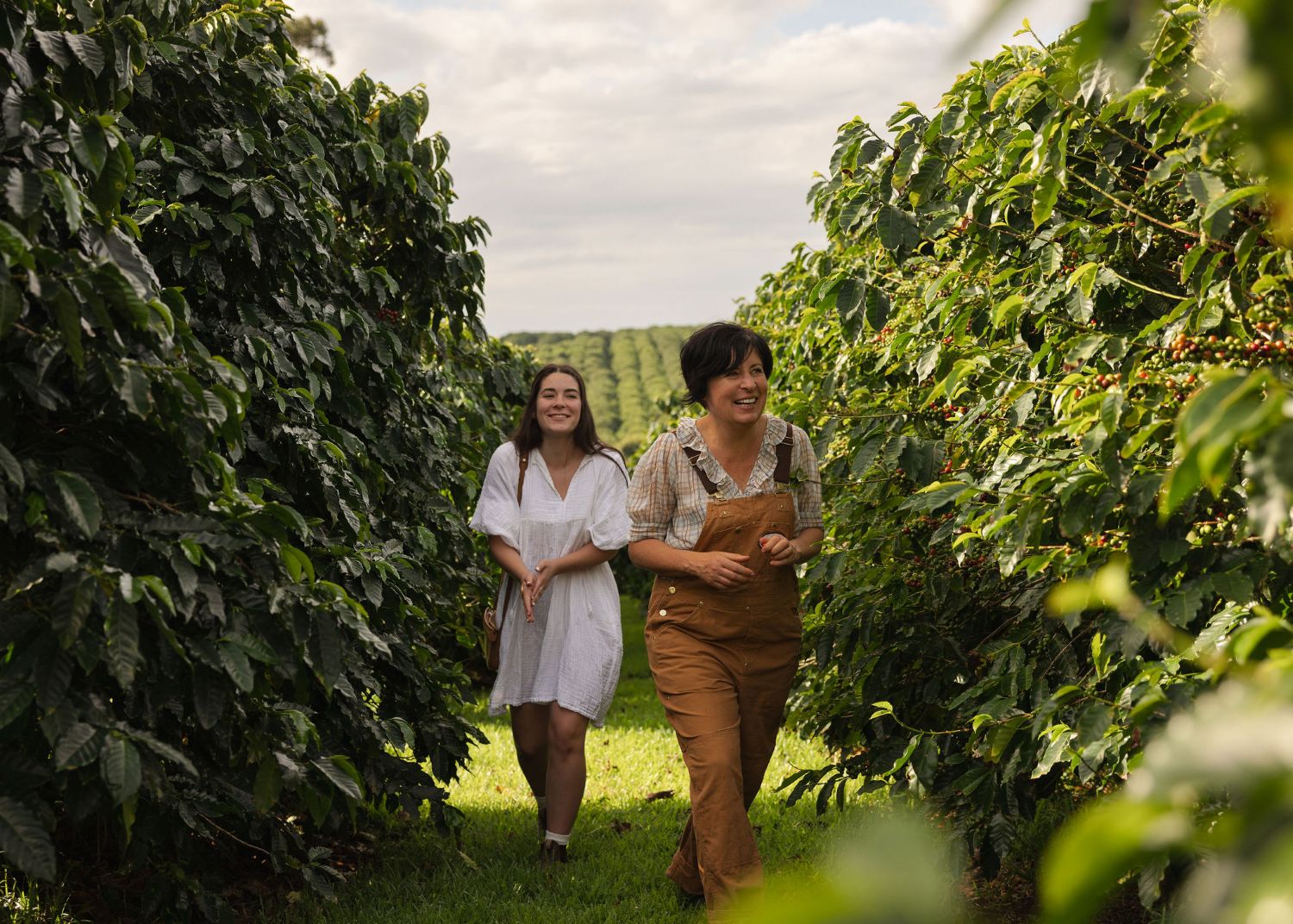 Crop to CUp Tours