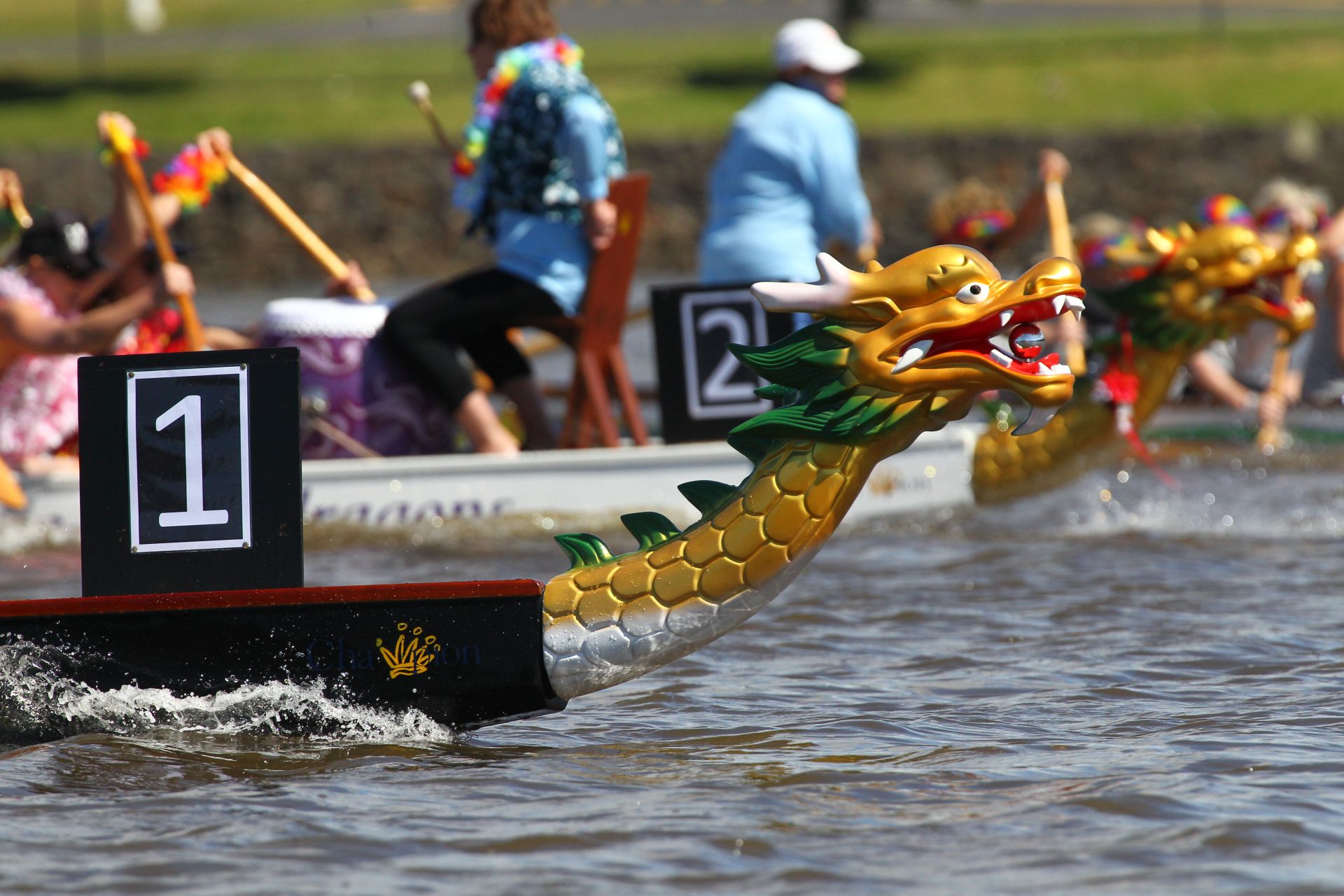 Rainbow Region Dragon Boat Regatta