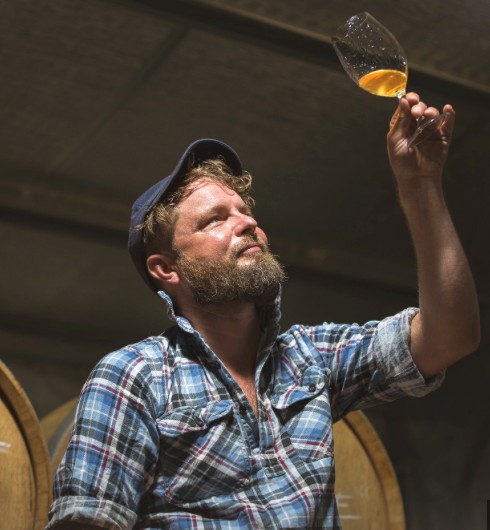 Isola Free wine Tasting July 2025