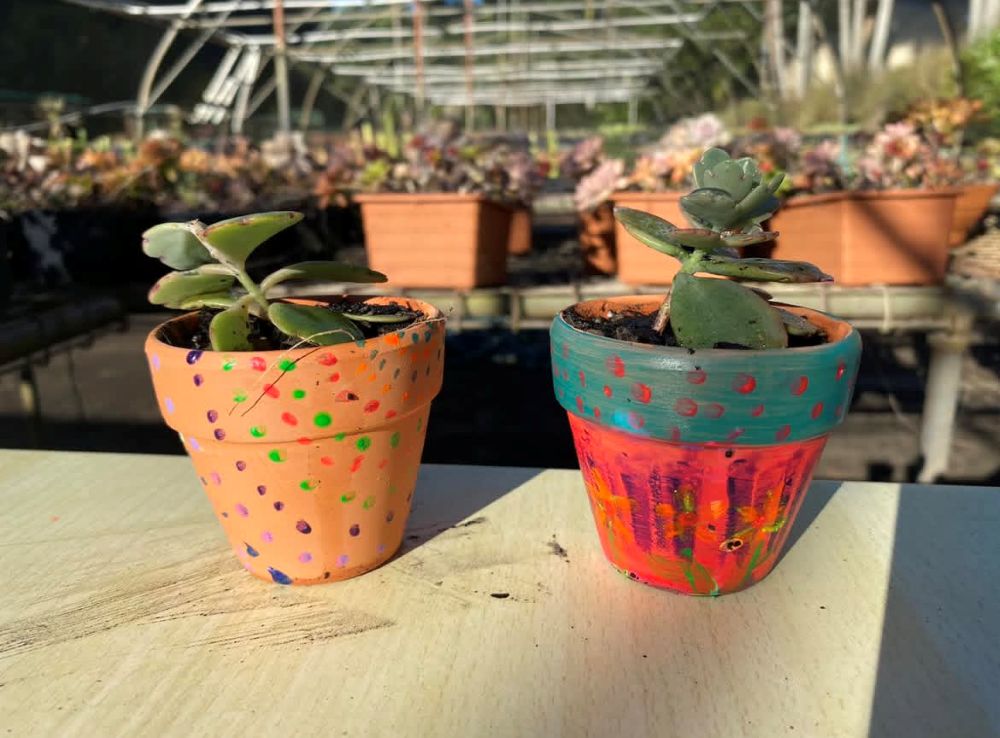Summerland Farm Paint and Plant