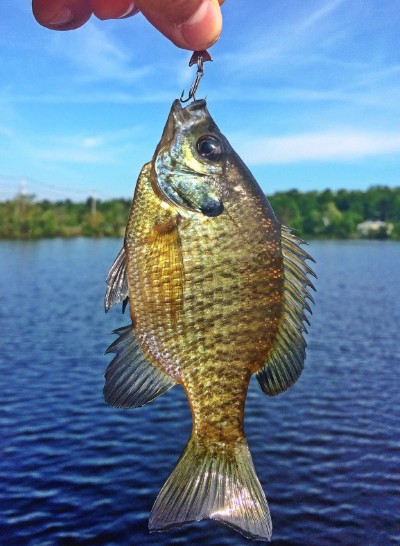 fishing
