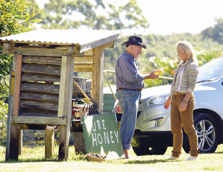 BOOST FARM BUSINESSES AND REGIONAL TOURISM