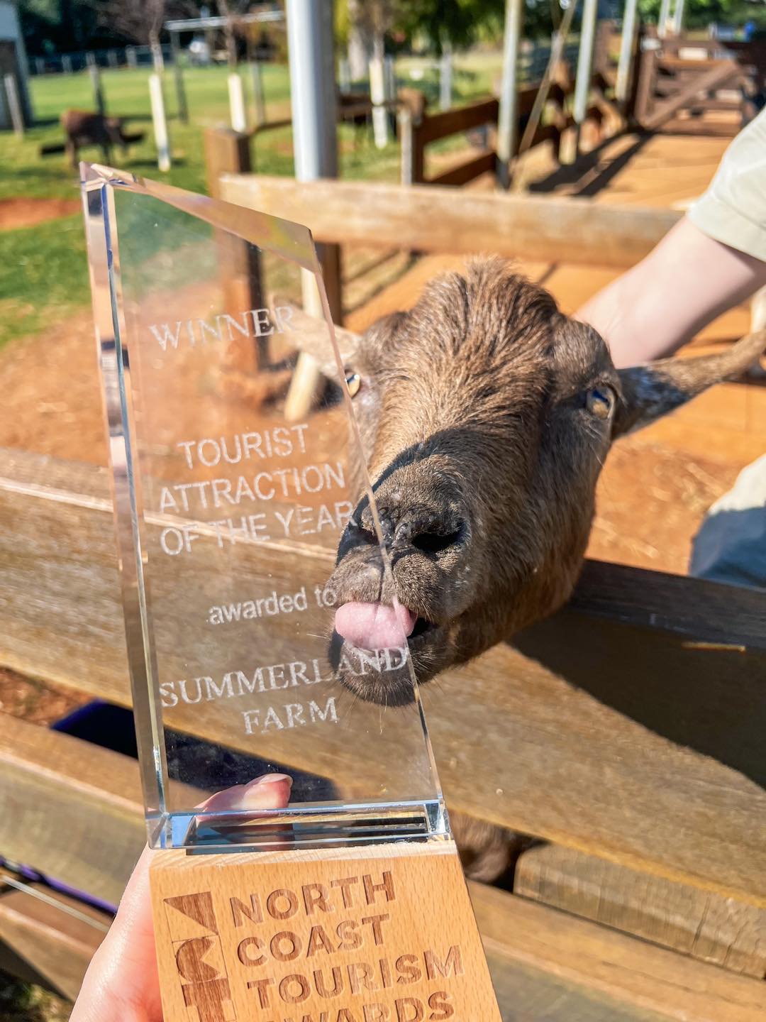 Tourist Attraction of the Year Summerland Farm