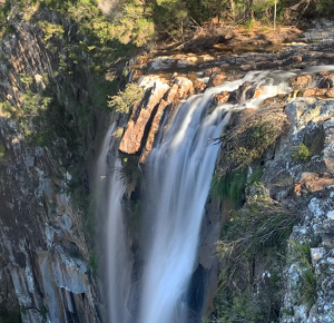 nswparks_Minyon_Falls.png