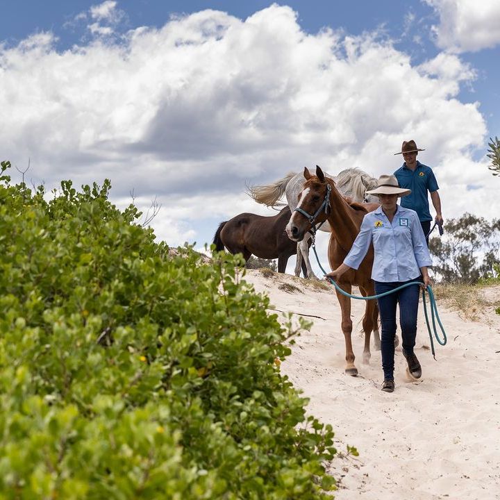 Sugar Beach Ranch