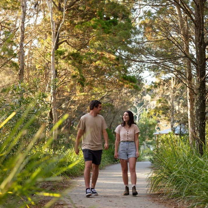 Shaws Bay Loop Walk