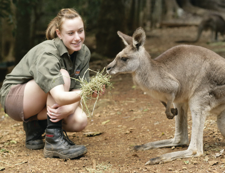 Byron Bay Wildlife Sanctuary