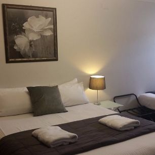 Econ Lodge Chaparral Motel